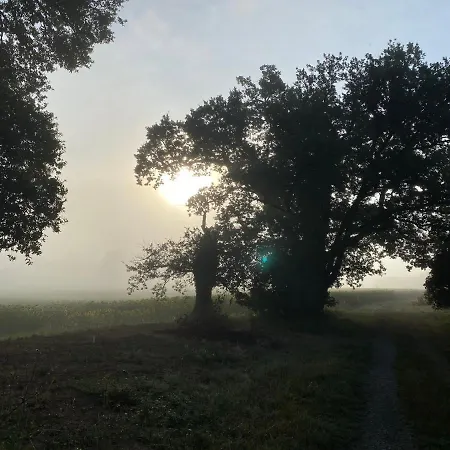 La Maison De Manon Oda ve Kahvaltı Mirande (Gers)