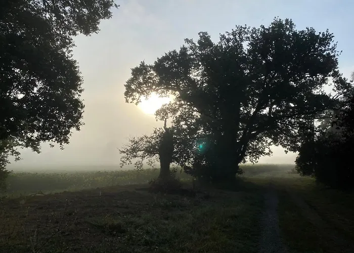 La Maison De Manon Bed & Breakfast Mirande (Gers)