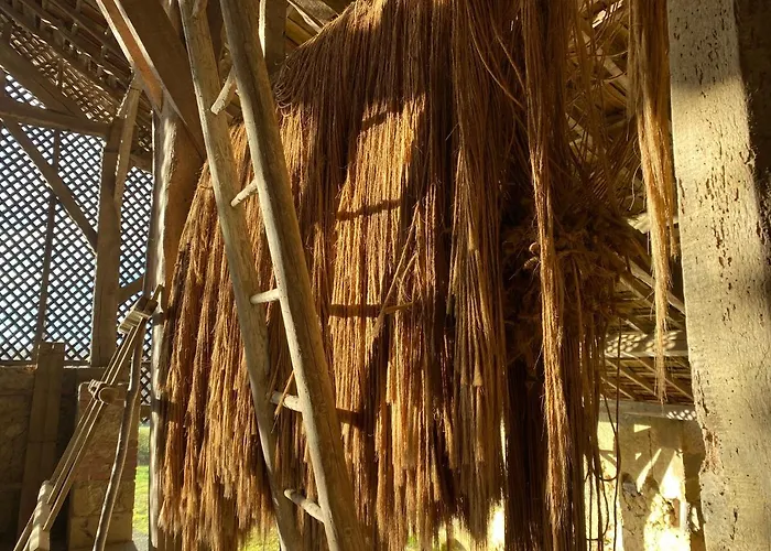 La Maison De Manon Bed and breakfast 3*